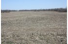 Property photo 3 - 200+/- Acre Land Auction in Gibson County, Indiana